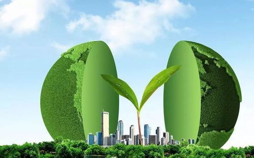 綠化帶在中國(guó)隨處可見(jiàn),為何注重環(huán)保的歐洲,反而幾乎沒(méi)有