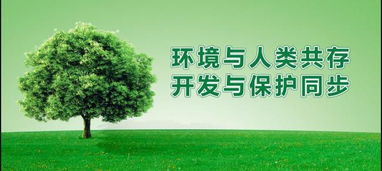 我國(guó)木門(mén)生產(chǎn)企業(yè)該往哪里走