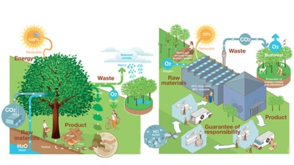 廚房革命:污染、浪費大作戰