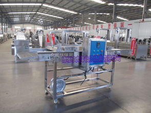 魚片上漿機與大洋精品雞排掛漿機 網絡時代食品工業的智能化革新
